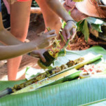 Coconut's Comida