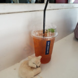 Workboxes Cafe' Comida