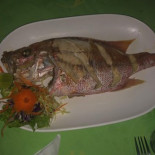 Sue's Ocean Dentro
