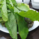 봇재가든 Comida