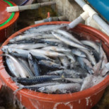 대원식당 Comida