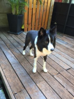 Fù Jǐn Jiē No.108 Comida