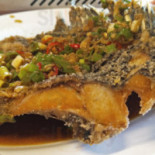Gōng Tián Gōu Xiū Xián Guǎng Chǎng Huó Yú Cān Tīng Comida