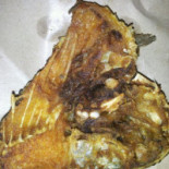 Niko Seafood Comida