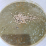 민경이네 어등포해녀촌 Comida