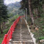 Xiān Shān Xiān Cǎo Comida