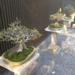 Present Simple Exterior