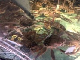 Yuè Qián Xiè の Fāng Comida