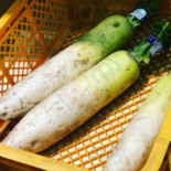 Dào の Yì おのこ Comida