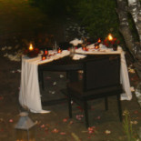 Sangkar Comida