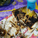 Sate Ayam Comida