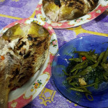 Sate Ayam Comida