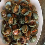 ร้านบ้านริมเขื่อน ตลาดน้ำอัมพวา Comida