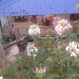 เฮือนแพ Exterior