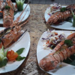 Pine Tree Comida