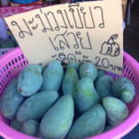บ่อตกปลาพ่อกำนัน อ สารภี Bebida