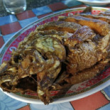 บ่อตกปลาพ่อกำนัน อ สารภี Comida
