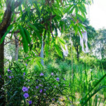 บ้านสวนดอกไม้ Baan Suan Dokmai Exterior