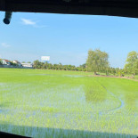 ร่มไม้ริมนา Exterior