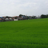 ร่มไม้ริมนา Exterior