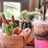 บุญทวี อีโค่ ฟาร์ม ก๋วยเตี๋ยวแห้งพริกสด คาเฟ่หนองเสือ คลอง10 Boonthawee Ecofarm Bebida