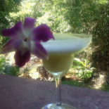 Elicious Bebida