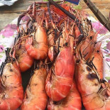 Jazzซีฟู๊ด Comida