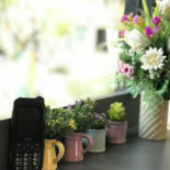 Café Amazon Bebida