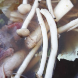 หลงดอย Comida