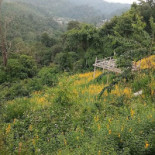 หลงดอย Exterior