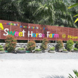 สวีท​ ฮอสฟาร์ม​ ณ​ พิปูน Exterior