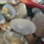 Ped Comida