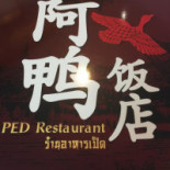 Ped Logo