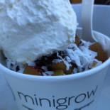 Honeygrow Dock St Comida