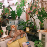 กลางนา คาเฟ่ Exterior