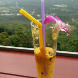 Giant Summit Samui Bebida
