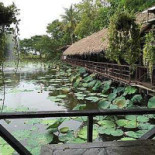 พนา คาเฟ่ Exterior