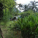 Thaiherb Exterior