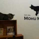 Mohu Mohu Cafe Cardápio