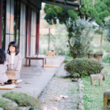 Yáng Míng Chūn Tiān Wén Chuàng Yuán Qū outside