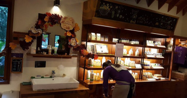 Xūn Yī Cǎo Sēn Lín Dentro