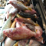 Hǎi Shì Jiè Fù Hé Shì Tàn Kǎo Comida