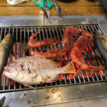 Hǎi Shì Jiè Fù Hé Shì Tàn Kǎo Comida