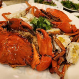 Hóng Fān Tiān Shēng Měng Hǎi Xiān Comida