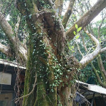 Rì Yuè Nóng Zhuāng Exterior