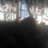 고인돌 Dentro