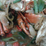Sragen Tenda Laut Comida
