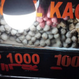 Singkong Keju (sinkong Tops) Bebida