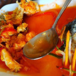 Java Zest Comida