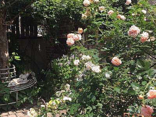 グリーンフィンガー カフェ